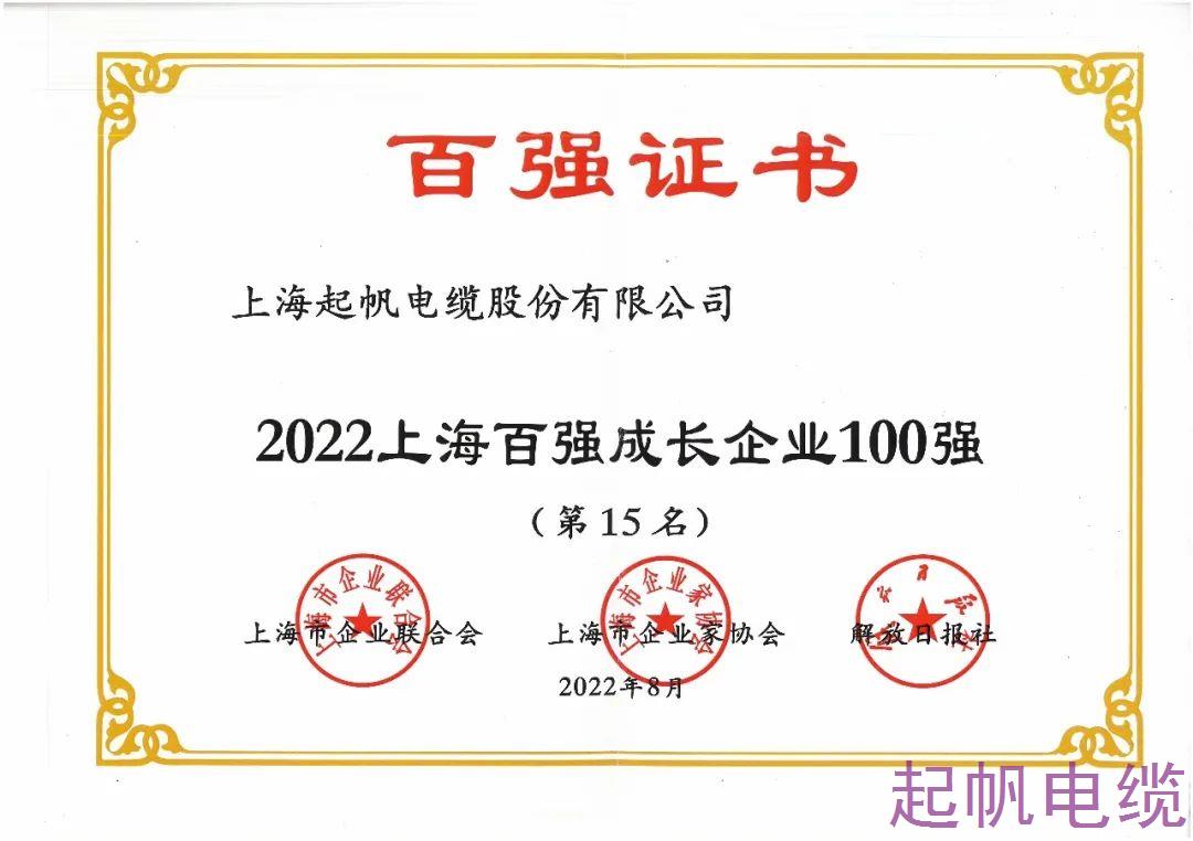 2022年上海企業(yè)100強