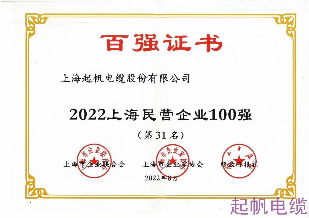 2022年上海民營(yíng)企業(yè)100強(qiáng)